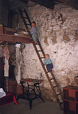 Attachment parenting principles and benefits - trusting your child - Arran and Fingal clmbing up a ladder before they could walk!